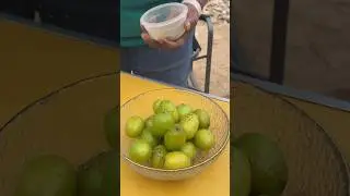Ber Fruit Chat | Camping Easy Recipe | Street Food | #shorts