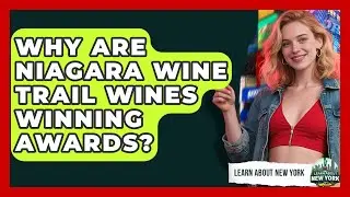Why Are Niagara Wine Trail Wines Winning Awards? - Learn About New York