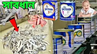 সত্যিই কি ল্যাকটোজেন তৈরি করার জন্য এসব ব্যাবহার করে।সাবধান হয়ে যান।Lactogen Making Factory Process