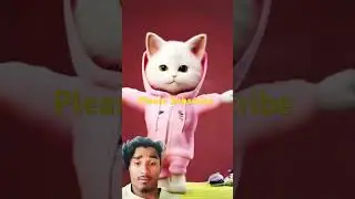 cat video funny video #cat #cute #catlover #bhojpuri #love #song #0380 #cutecate