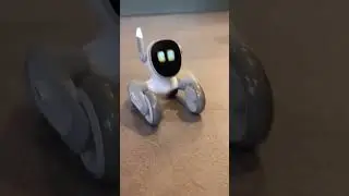 AI ROBOT: Loona made a new friend today 🥳🥳🥳