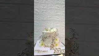 cake transition|transition video|cake hack|cake toturial|beautiful cake.. @mayakicakery01