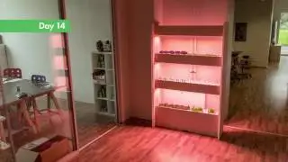 The Click & Grow Wall Farm: Timelapse