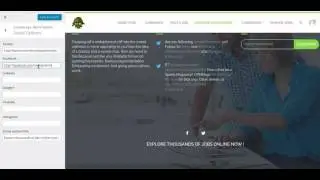 Configuring Social Media options on Robojob WordPress Theme