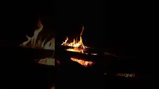 ASMR feu de camp bivouac