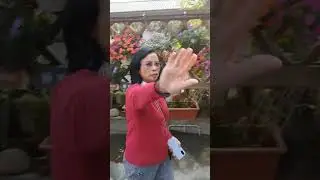 阿成日記20210131田尾菁芳園！