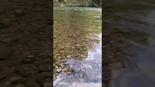 Gradac,river #river #nature #relaxing #water #forest #trees #spring #travel #beautiful #green #vlog