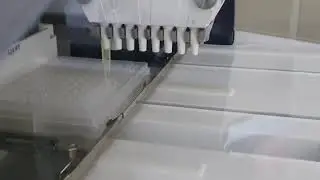 210302 Pipetmax running