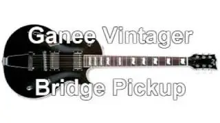 Ganee 'Vintager' set humbucker for chamber guitars