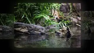 Best Places to Visit in Darwin