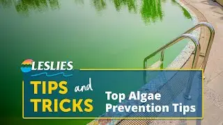 Tips & Tricks: Top Algae Prevention Tips | Leslie's