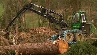 John Deere 1270G Windwurf #2