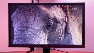 Обзор монитора Benq EL2870U.