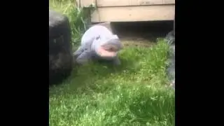 Fluffy fluffy hippo