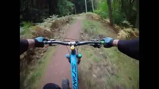 Forest of Dean ￼MTB