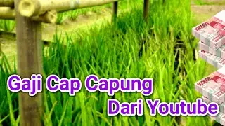 Penghasilan Channel Cap Capung Dari Youtube