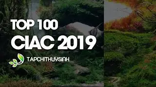 TOP 100 - CIAC 2019 - CIPS International Aquascaping Contest 2019