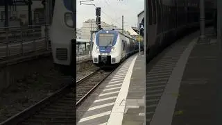 National Express 442 360 und 442 151 Bombardier TALENT 2 Hamsterbacke als RB 48 #br442
