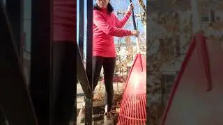 Raking leaves easy, efficient and FUN tutorial!!