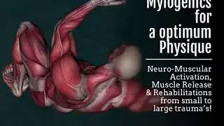 Mylogenics for an optimum Physique!