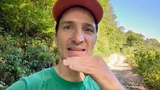 Whistle loudly using only your mouth, and not your hands.