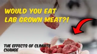 Would You EAT Lab Grown Meat?! | The Effects of Climate Change with the FlipCast | E12