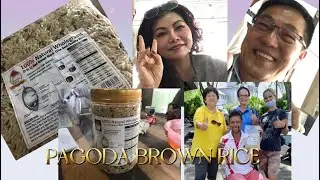 Pagoda Brown Rice || Tibet Best Pagoda Flowers Rice
