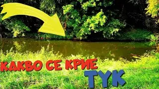 ДИВО МЕСТЕНЦЕ!!! СИЛЕН ВЯТЪР и РИБОЛОВ на ЖИТО.