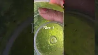 Healthy Green Smoothie | Weight Loss Smoothie #shorts #shortsfeed #shortsvideo