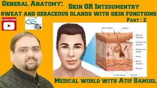 Skin|Sweat gland|Sebaceous gland|Functions of the skin|Part 2|General Anatomy