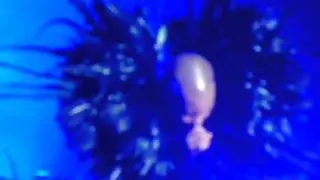 Skunk Anansie - Charlie big patato live @ BestFest 2011 Bucuresti