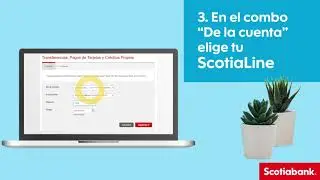 Disp&oacute;n de efectivo con tu ScotiaLine