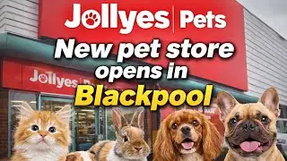 Jollyes pet store opens on Blackpool 