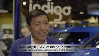 EV Issue and indiGO Solution