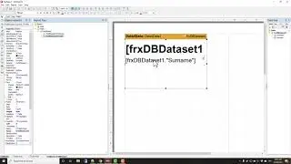 Building an Application Printing Labels - Delphi #159