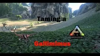 Ark survival evolved! | Episode 1 First video! | taming a galli!!