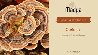 Incontro divulgativo MTC dedicato al 