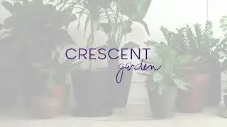 Crescent Garden - Planters that last and last