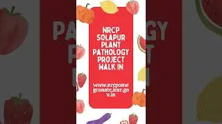 Life sciences Jobs Information on 04th April 2024 #shorts