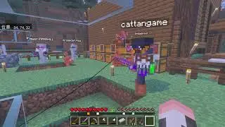 【参加する??】いい釣竿をつる🐡【マイクラ】