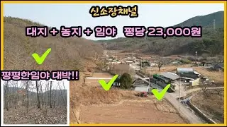 (646번)#대지+농지+임야 저렴하고 평지많은 임야대박#의성땅매매#경북땅매매#의성부동산#안동땅#귀농귀촌#시골집터#농막#체류형쉼터#임업#산매매#시골땅#자연인땅#촌땅#오지땅#토지매매