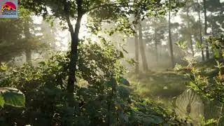 Morning Meditation | 5 Minutes To Start Every Day Perfectly By Nature's Home | SUBSCRIBE FOR MORE ..