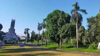 GROTTO OUR LADY OF LOURDES SJDM COCONUT ROYAL PALM TREE 7 PART 35 DOIGKVLCOASIDIFIGUVPAIARA