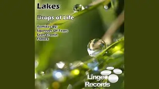 Drops of Life (Squeezer Of Tears Remix)