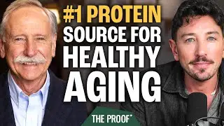 Plant protein vs animal protein: Which supports healthy ageing best? | Walter Willet