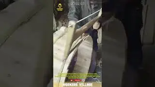 A worker demonstrates a simple yet effective innovation by using a large bow saw to split wood