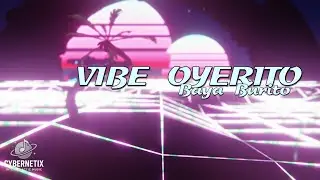 Donkey Politics - Vibe Oyerito | Cybernetix Intergalactic Music #music