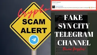 Syn City PreSale Telegram Scammer | Crypto Scam Alert! ⚠️