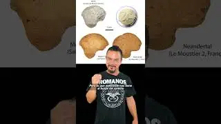 &iquest;Un nuevo linaje de humanos modernos? Lo que dice este hueso de beb&eacute; de m&aacute;s de 40.000 a&ntilde;os