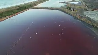 Поморие Солниците(Pomorie Salt Pans) (4K)